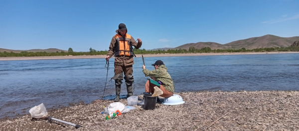 Исследования в водоёмах Забайкальского края и Республике Бурятия